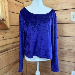 Vintage Women’s XL‎ Royal Purple Velvet Long Sleeve Top Soft Luxe Dark Romantic